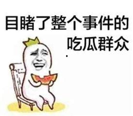 吃瓜群众黄主任,揭秘其背后的故事与影响力