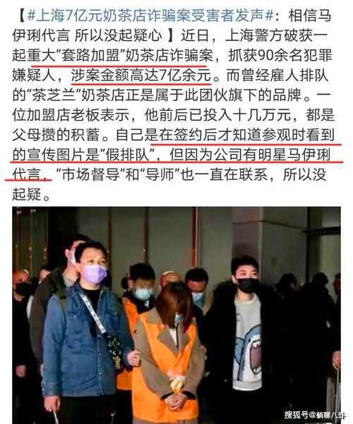 镇平县吃瓜群众案件最新,真相揭秘与法律反思