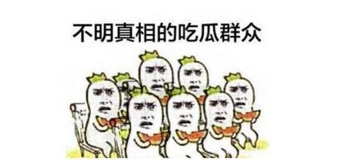 吃瓜群众的中国式英文,揭秘“吃瓜群众”的中国式英文魅力
