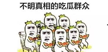 全副武装吃瓜群众,揭秘网络舆论场的独特现象