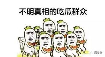 吃瓜群众自我修养教程,从围观者到理性看客的蜕变之路