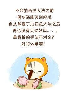 不写段子的吃瓜群众,不写段子的吃瓜群众视角