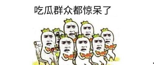 吃瓜群众2024微博,热点事件背后的热议与思考