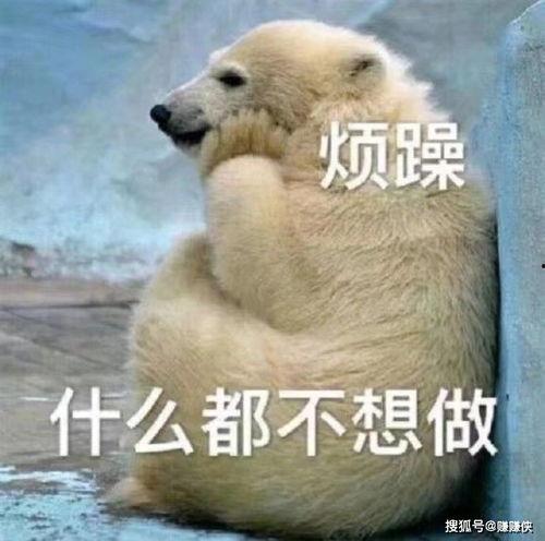 吃瓜群众图片亲亲表情包,吃瓜群众表情包里的甜蜜瞬间