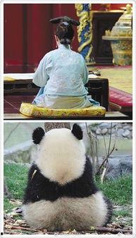 快乐无聊的吃瓜群众,快乐无聊中的欢乐时光