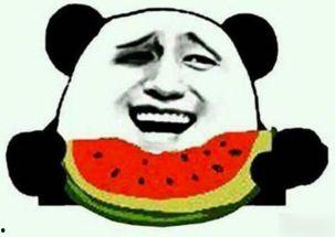 妹妹吃瓜群众,揭秘娱乐圈幕后故事