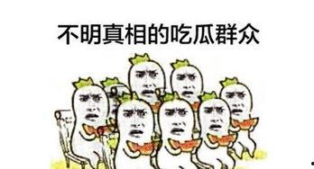 粗鲁吃瓜群众,揭秘网络暴力的背后