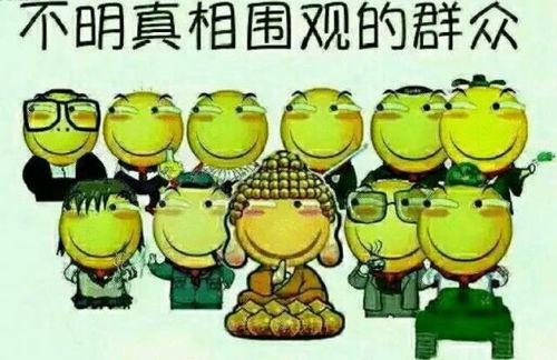 吃瓜群众666握手,揭秘网络热词背后的文化现象