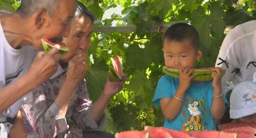 靖远吃瓜群众新闻,最新新闻事件深度解析